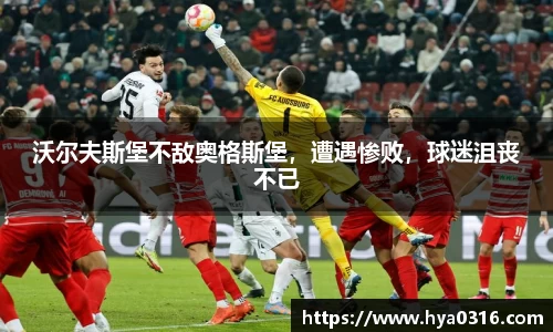 BoB半岛·体育中国官方网站