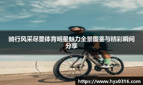半岛bob·官方网站