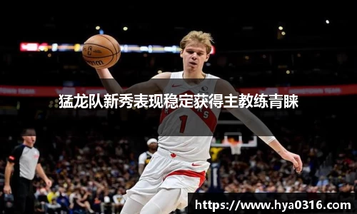 BoB半岛·体育中国官方网站