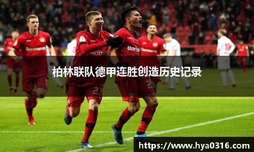 半岛bob·官方网站
