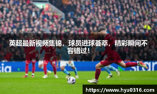 半岛bob·官方网站