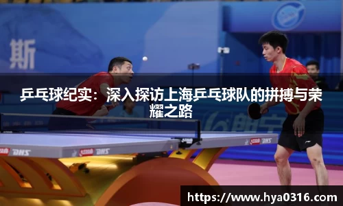 BoB半岛·体育中国官方网站