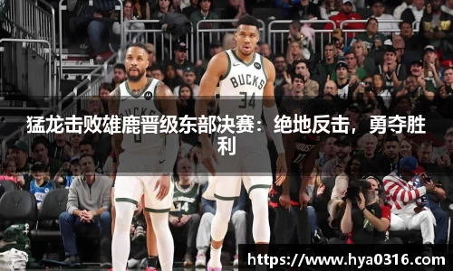 半岛bob·官方网站
