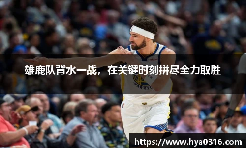 BoB半岛·体育中国官方网站
