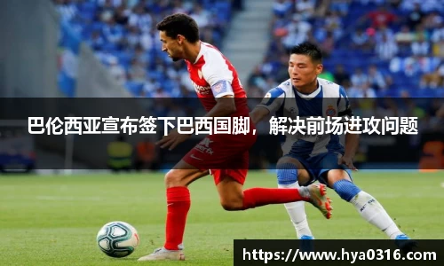 BoB半岛·体育中国官方网站