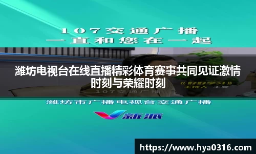 潍坊电视台在线直播精彩体育赛事共同见证激情时刻与荣耀时刻