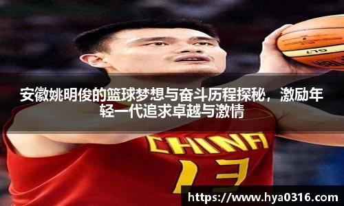 半岛·BOB官方网站