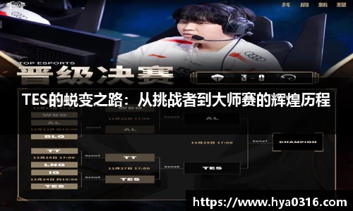半岛bob·官方网站