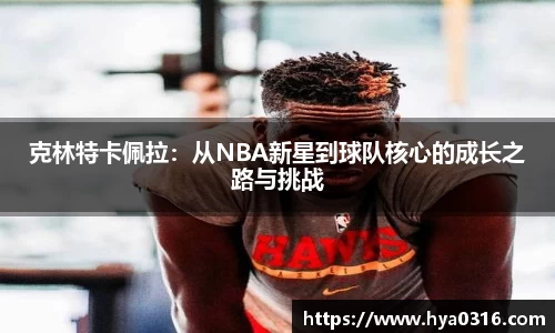 BoB半岛·体育中国官方网站