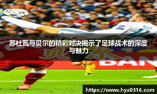 半岛·BOB官方网站