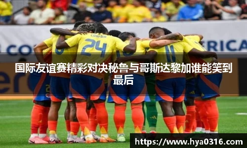 半岛bob·官方网站