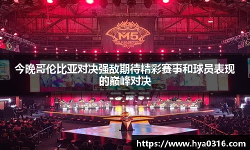 BoB半岛·体育中国官方网站