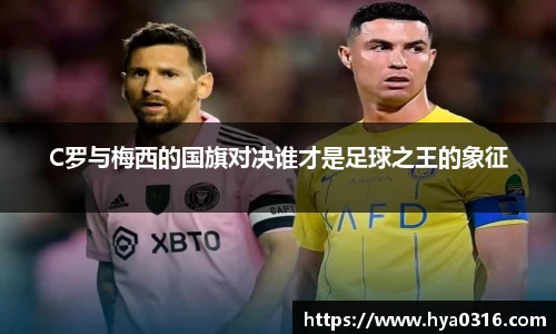 BoB半岛·体育中国官方网站