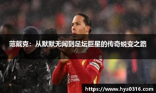 BoB半岛·体育中国官方网站