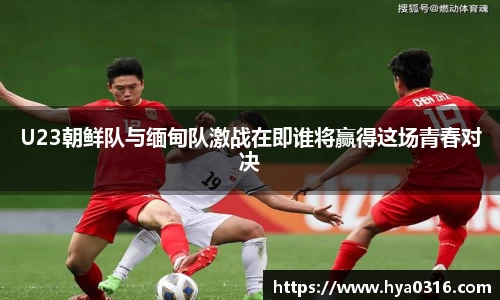 半岛bob·官方网站