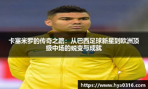 半岛bob·官方网站