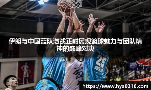 半岛·BOB官方网站