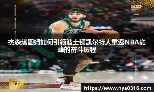 BoB半岛·体育中国官方网站