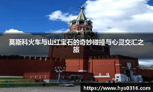半岛bob·官方