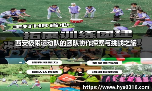 半岛·BOB官方网站