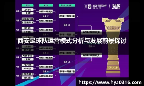 西安足球队运营模式分析与发展前景探讨