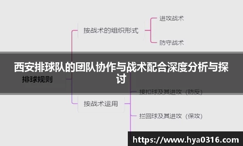 BoB半岛·体育中国官方网站